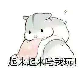 抖音小仓鼠高清无水印表情包合集超萌