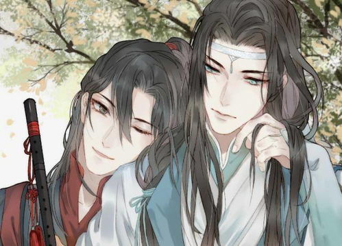 忘羡表情包羡慕