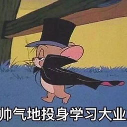 从未见过如此特别的头像,一大波超好看系列