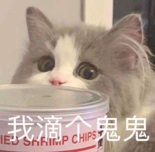 你有哪些口误,尴尬到想把自己埋了的那种哈哈哈