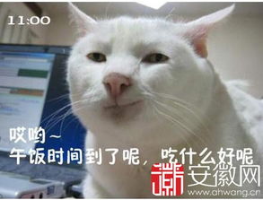喵喵上班族的一天中枪的香油请举手