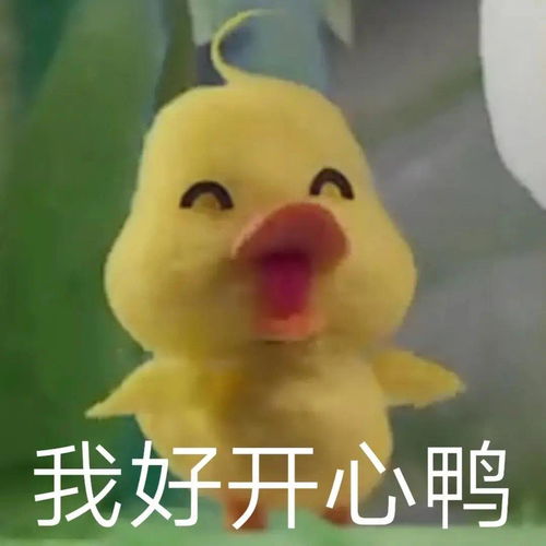 有这种小黄鸭的表情包么,谢谢
