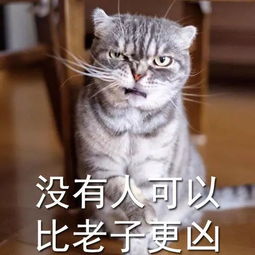 惊喜28号晚柳州人请抬头看将有狂欢节烟火彩排