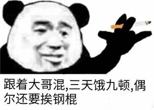 棍勇烧火棍表情图