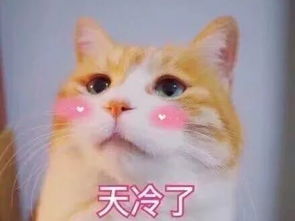 今日寒露秋意熟透,最是橙黄橘绿时