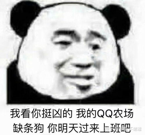 有哪些让人神清气爽的口吐芬芳专用表情包