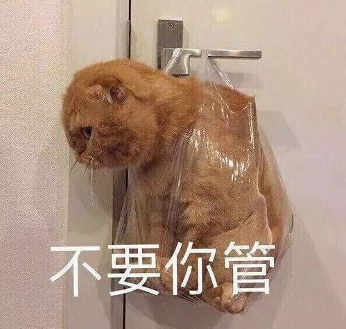 一大早男同事说我卡粉是种怎样的体验
