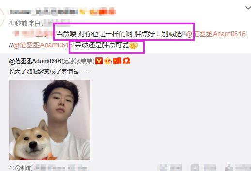 范丞丞与狗合照说长大了随他爹变成了表情包,网友胖点好别减肥