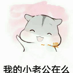 喂我的小老公在吗表情包
