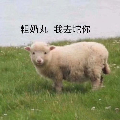 旅行
