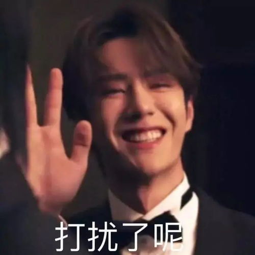 表情包王一博表情包哈哈哈哈哈哈