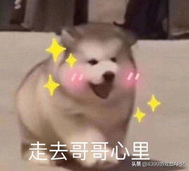 第五人格又曝后半年动向网易发大招,各大活动样样不少