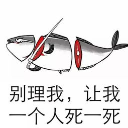 魔盘闯红灯记我用传说中血战不见血的月经盘闯了一次红灯