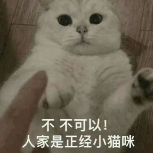 年入千万的欧阳娜娜同款,我竟然也买得起