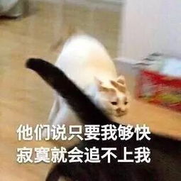 这仇他记了50年男子偶遇打过自己脸的邻居,怒将其打骨折