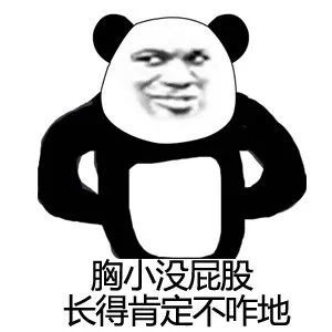 沙雕搞笑熊猫头表情包,哈哈