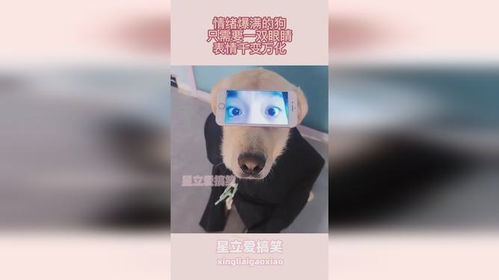 双眼迷离表情包情绪