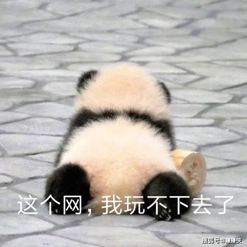 最新表情包图片发这个到微信朋友圈,今晚谁做我的枕边人