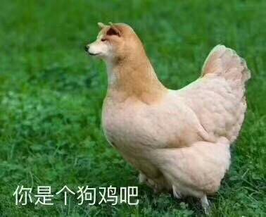 蛋友贴图专版