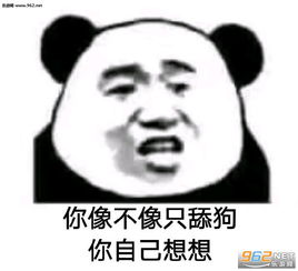 接住表情包打劫