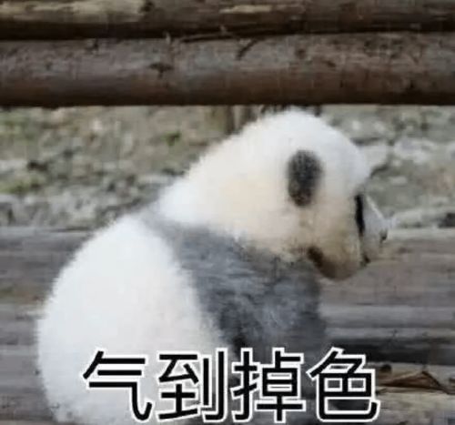 家长群又又又又翻车了,现在退群还来得及吗哈哈哈哈哈