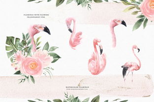 火烈鸟与鲜花矢量水彩插画watercolorflamingoflowers