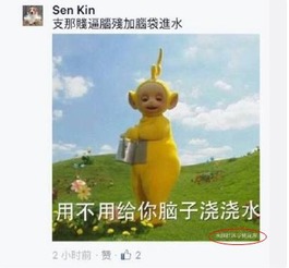 林更新讽刺周子瑜引两岸大战小猪被骂滚出娱乐圈