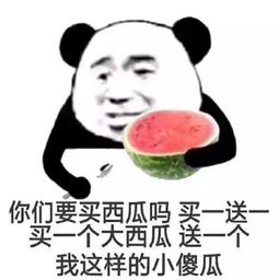 公众号表情包表情