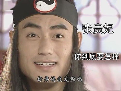 吐槽张贵妃表情包大赛