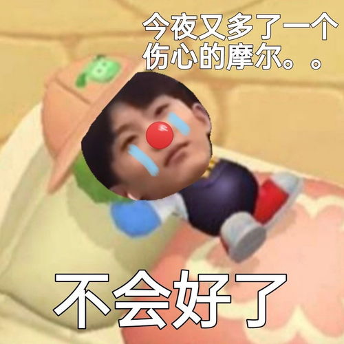 时代少年团摩尔庄园表情包对不起大熊猫的笋都被我夺完了