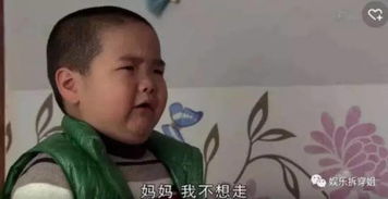 娱乐圈诞生新的表情包谢飞机横空出世,民国地位岌岌可危