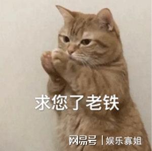 狗仔预告女明星婚姻爆雷,给出的线索是姬圈天菜,引发热议