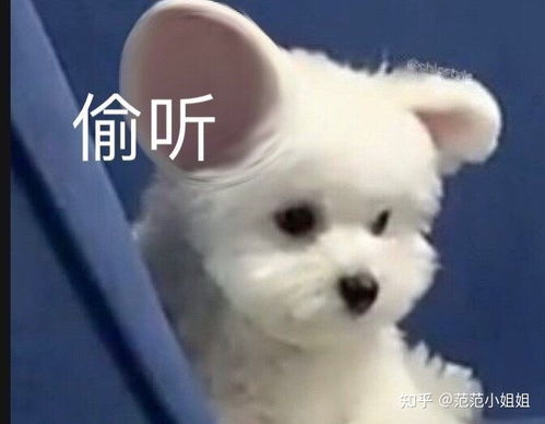 有哪些日本留学艺术专业学校推荐