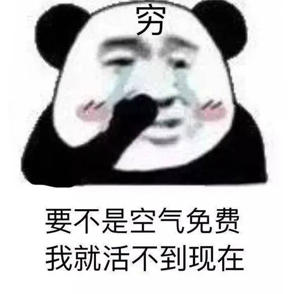 今日份表情包