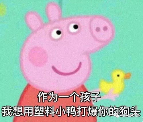做偶像前,他还是先学学怎么做人吧