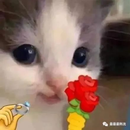 究竟是不是偶像失格