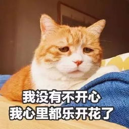 2017年度表情包大赏