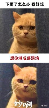 你身上有她的香水味,一闻就没我的贵