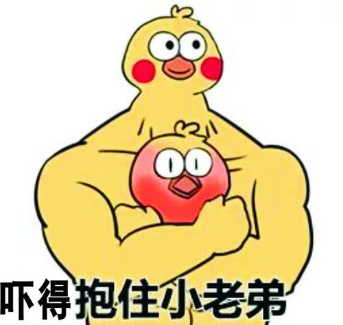 感恩表情包100张大鸡