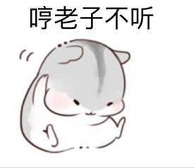 仓鼠表情包我生气啦,哄不好的那种