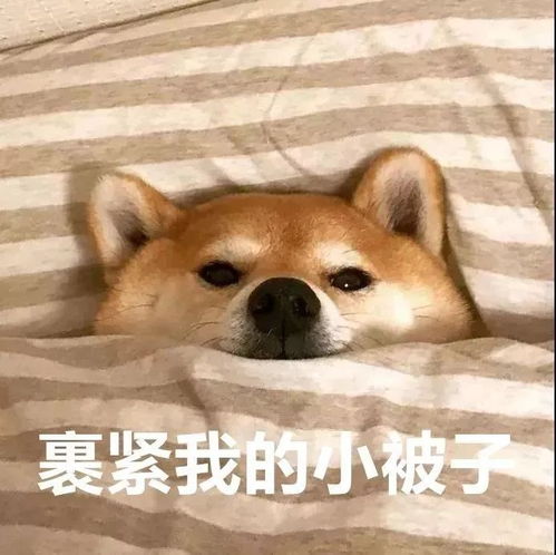 下周,冷空气来袭藤县,最冷16入秋以来最强冷空气...