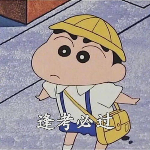 寒假工作报告传动车架点击查看我们的寒假