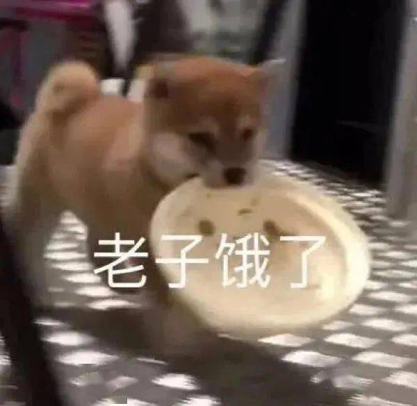 师大晚睡,呸,师大早睡秘籍