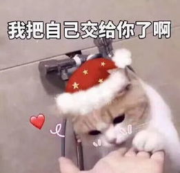 微信零钱表情包我恨你