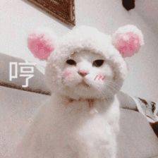 实力宠粉我们准备发一大波微信红包