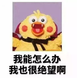 想知道假代购是怎么骗你的吗教你几招,练就火眼金睛