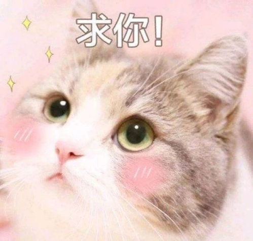 困的表情包图片可爱