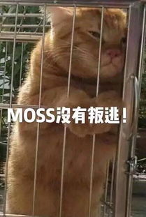 流浪地球图片流浪地球表情包