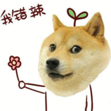 求助单身狗25年,明天就要对女票献出初吻该注意什么