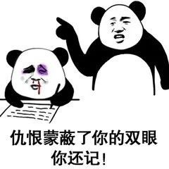 女人的嘴,骗人的鬼熊猫头骗人熊猫女人表情